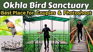 Okhla Bird Sanctuary  okhla bird sanctuary noida  bird sanctuary  okhla bird sanctuary delhi [upl. by Ettena]