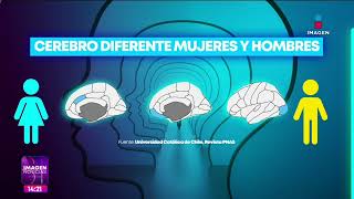 Desigualdad social puede repercutir en la salud mental estudio  Noticias con Yuriria Sierra [upl. by Azral]