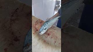 Skinning fish talang queenfish  Professional fish slicer [upl. by Yelloh]