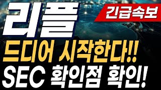 리플XRP드디어 시작한다 SEC 확인점 확인 6월17일 월요일 저녁 긴급속보 시바이누도지코인비트코인 [upl. by Ikila]