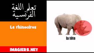 تعلم اللغة الفرنسية  Le rhinocéros [upl. by Etra785]