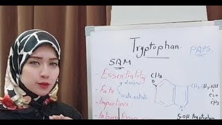 Protein Metabolism Session 18 Tryptophan amino acid metabolism [upl. by Fortunna]