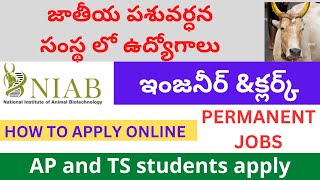 HYDERABAD NIAB recruitment 2024  NIAB Clerk Jobs online apply process in Telugu 2024 NIAB jobs [upl. by Nilyak824]