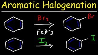 Aromatic Halogenation Mechanism  Chlorination Iodination amp Bromination of Benzene [upl. by Nesyaj]