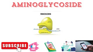 Aminoglycoside Streptomycin Kanamycin Tobramycin Neomycin Framycetin Gentamicin Sisomicin [upl. by Norraf]