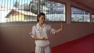 Heian Nidan  Karate Training Sonia Fiuza [upl. by Aicilegna898]