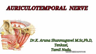 AuriculoTemporal Nerve Il course II Area of Distribution II Surface Anatomy Il clinical Anatomy [upl. by Zaneta]