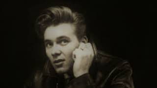 Wondrous Place BILLY FURY with lyrics [upl. by Howland945]