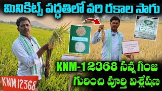 KNM12368 సన్న గింజ రకం గురించి క్షేత్ర స్థాయి విశ్లేషణ  Brief Information About KNM 12368 [upl. by Garvy]