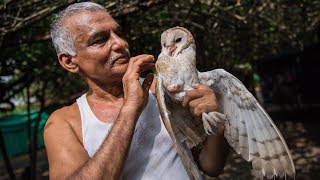 The Indian Doctors Who Created An Animal Ark  WILDEST ANIMAL RESCUES [upl. by Iturhs116]