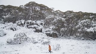 Perisher April snowfalls [upl. by Ojela]