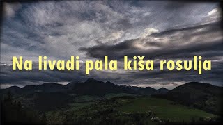 Zlatko Pejaković  Na livadi pala kiša rosulja Official lyric video [upl. by Gebler]