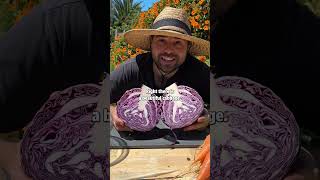 Homegrown Cabbage Salad recipe [upl. by Servais]