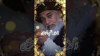 Khadim Hussain Rizvi status rizvi bayan rizvilover [upl. by Ajdan524]