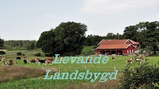 Levande landsbygd Dokumentär om modern lantgård 2024  LTVUSE [upl. by Elita276]