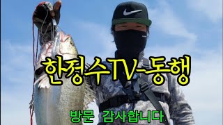 한정수TV  동행 라이브 방송 10월12일 무의도 소무의도 야나도잡을수있어 야나도야너도원투낚시워킹루어 [upl. by Noni457]