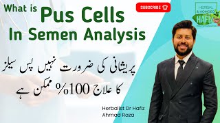 What is Pus cells in Semen Analysis  Infection In Semen Treatment  Pus cells ka ilaj  Dr Ahmad [upl. by Ahsekin]