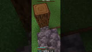 minecraft bilds майнкрафт minecraftbuilding shorts [upl. by Robaina]