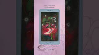 Weekly Tarot The 2 of Wands  September 1st to the 7th [upl. by Ydarg]