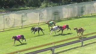 Capalaba06102024Race2 [upl. by Keegan]