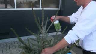 AlfaSTOP kerstboom impregneer voor particulier gebruik instructie  tutorial [upl. by Cher]