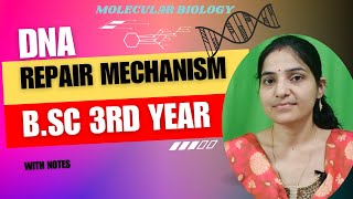 DNA Repair bsc 3rd yearDNA Damage And Repairmolecularbiology dnarepair [upl. by Ennalorac]