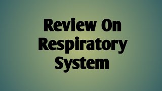 Medicine  Review On Respiratory System [upl. by Kacerek]