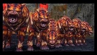 LotRO Multiboxing 6 Wargs  kill compilation [upl. by Ellata791]