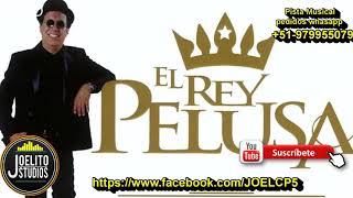 Tonta  Rey pelusa  Karaoke pista [upl. by Ulah527]