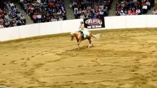 2015 AQHA Freestyle Reining Champion Kathy Burma on Tejons Shine [upl. by Thea427]