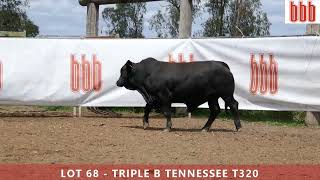 Lot 68  Triple B Tennessee T320 [upl. by Alemat528]