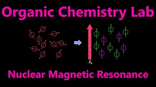 Proton Nuclear Magnetic Resonance ¹HNMR  Organic Chemistry Lab Techniques [upl. by Del410]