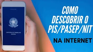 Como saber qual o número do PISPASEPNIT pela internet [upl. by Lednyc]