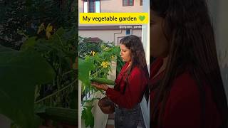 My organic vegetable garden organic gardening youtubeshorts [upl. by Redna]