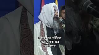 কোরআন শরীফে সুরা মুলক এর ফজিলত info Mufti Abdul Kayum Shahid By Hasim Media [upl. by Harri30]