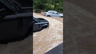 Correct Way to Drive Through a Flooded Ford  Kenilworth Ford Flood  Shorts [upl. by Adok]