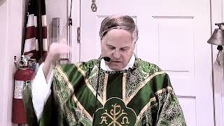 Fr Radecki CMRI the Novus Ordo Persecutes Traditional Catholics [upl. by Qirat]