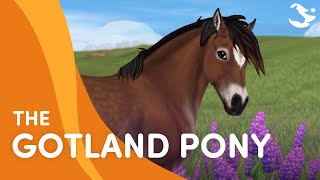 Meet the Gotland Pony 😍🐴❤️  Star Stable Breeds [upl. by Archie]