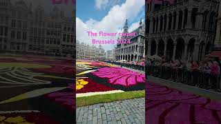 The flower carpet Brussels 2024 [upl. by Ykroc832]