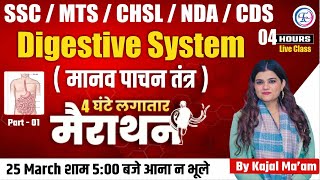 Digestive System  मानव पाचन तंत्र  मैराथन क्लास  For  SSC MTS  CHSL  NDA CDS  BY KAJAL MAAM [upl. by Ile412]