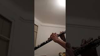 Jotaros theme stardust Crusaders that also sounds good on oboe [upl. by Tnairb681]