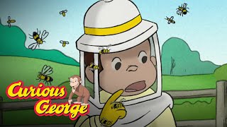 How Bees Make Honey 🐵 Curious George 🐵Kids Cartoon 🐵 Kids Movies 🐵Videos for Kids [upl. by Nate]