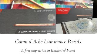 Caran dAche Luminance  A first impression in Enchanted Forest [upl. by Dusty635]