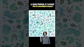 🐙Find the Hidden Octopus A Camouflage Challenge brainteasers funny riddles [upl. by Dorella]