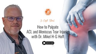 InDepth Tutorial How to Palpate ACL and Meniscus Tear Injuries with Dr Mikel HG Hoff [upl. by Meilen]