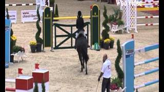 Edwina Alexander and Vleut 1st round Equita Masters [upl. by Krahmer]