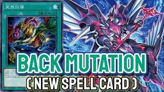 YGOPRO  Back Mutation  Full Armored DACK Lancer Oct2023  Testing Deck amp New Spell Card [upl. by Idelle]