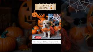 Pets in Halloween Costumes ft Dog and Goat halloween shorts [upl. by Leunad]