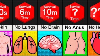 Comparison Survival Time Without Organs [upl. by Armallas520]