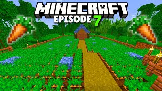 I MADE A BIGGEST CARROT FARM  MINECRAFT  7 [upl. by Ellimaj697]